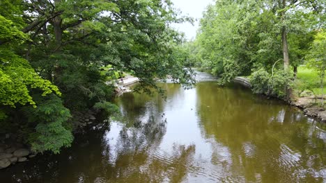 Water-Fowl-on-the-water-of-the-Red-Cedar-River-in-East-Lansing