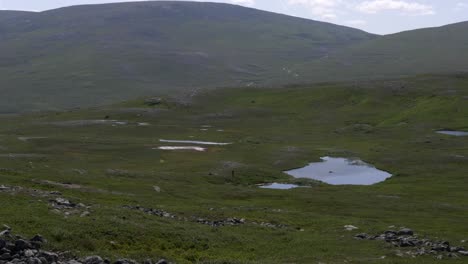 Arctic-mountainous-nature-landscape-with-puddles-of-water-in-lush-green-mountain-pastures-in-Jamtland-Sweden