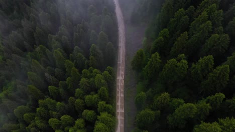 Aerial:-misty-mountain-road-in-forest,-tilt-down-forward-dolly,-top-down-view