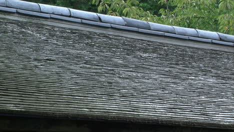 Roof-of-Japanese-teahouse-with-ceramic-tiles-and-hinoki-wood-shingles