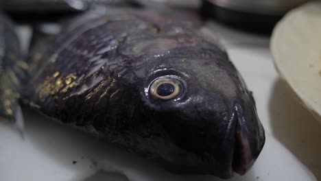 A-close-up-shot-of-the-face-and-eyes-of-a-tilapia-fish-in-a-kitchen