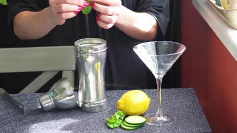 Bartender-Drops-Mint-Leaves-into-a-Silver-Cobbler-Shaker-for-a-Cocktail-in-a-Martini-Glass-with-Lemon,-and-Cucumber-Slices,-Closeup-of-Woman’s-Hands-with-Pink-Nail-Polish-on-Granite-Table,-Closeup