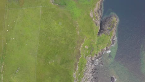 Rocky-Scottish-coast-and-green-pastures