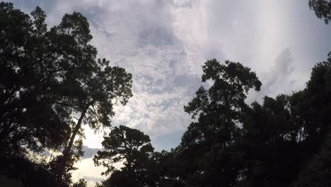 Der-Zeitraffer-Des-Silhouettierten-Baums-Von-Wolken,-Die-Im-Hintergrund-Vorbeiziehen