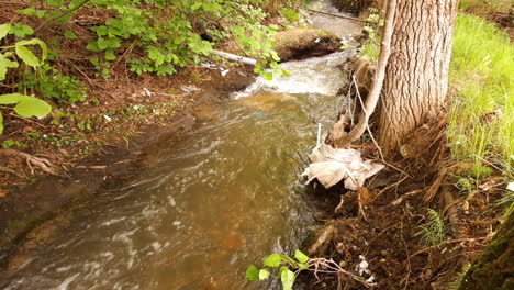 Small-forest-river-with-polluted-water-with-nylons-and-garbage