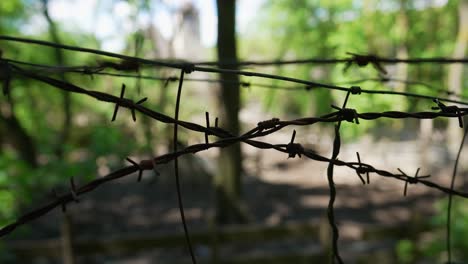 Barbed-wire-in-shade-in-forest-in-front-of-fenced-area