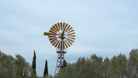 Yellow-wind-wheel-sticking-out-of-vegetation-against-a-blue-sky