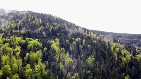 Langsamer-Flug-Aus-Der-Luft-über-Grünen,-Launischen-Frühlingswald-Mit-Wolken-Und-Nebel