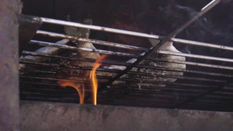 Zwei-Fische-Grillen-In-Heißer-Kohle-Mit-Feuerschuss-In-Zeitlupe-Aus-Einem-Niedrigen-Winkel