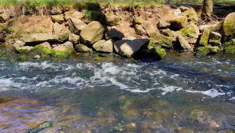 Stream-flowing-continuously-through-forest-on-sunny-summer-day