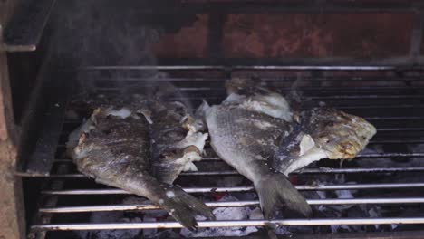 two-fish-grilling-in-hot-coal-with-fire-shot-in-slow-motion