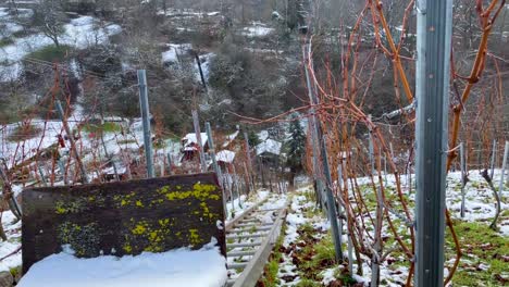 Steep-vineyard-along-slope-with-lift-for-transportation-of-grapes-during-winter-on-standstill-in-Stuttgart,-Germany