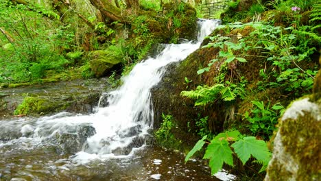 Beautiful-fresh-flowing-clear-waterfall-cascades-in-peaceful-green-forest-foliage-environment-dolly-left