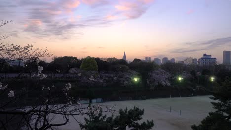 öffentlicher-Park-In-Tokio-Bei-Sonnenuntergang-Mit-Schönem-Stadtbild-Im-Hintergrund