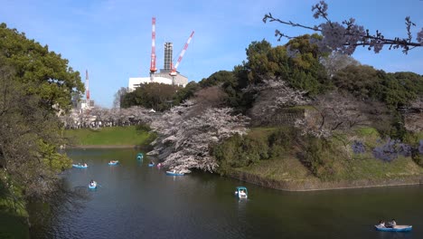 Foso-Chidorigafuchi-Junto-Al-Palacio-Imperial-En-Tokio-En-Un-Día-De-Cielo-Azul-Claro