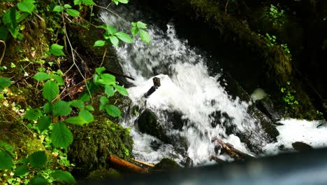 Hermosas-Cascadas-De-Agua-Clara-Que-Fluyen-Frescas-En-Un-Entorno-De-Follaje-De-Bosque-Verde-Y-Pacífico-Cerca-Del-Carro-Derecho-Sobre-La-Baranda