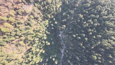 Aerial-view-of-a-river-and-a-road-in-the-middle-of-the-forest