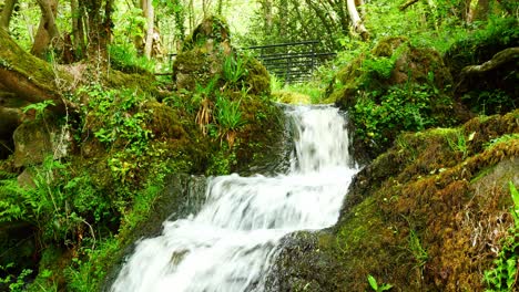 Schöne,-Frisch-Fließende,-Klare-Wasserfallkaskaden-In-Einer-Friedlichen,-üppig-Grünen-Waldlaubumgebung