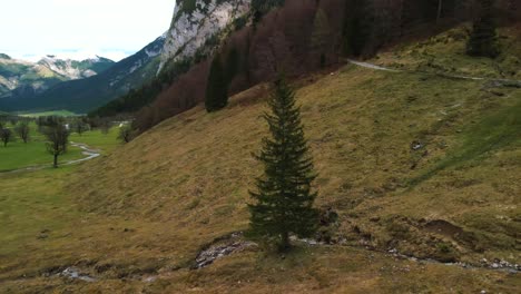 Aerial-drone-circle-flight-at-scenic-Ahornboden-Engtal-valley-circling-a-fir-tree-and-mountain-tops-in-the-Bavarian-Austrian-alps-on-a-cloudy-and-sunny-day-along-trees,-forest-and-hills-in-nature
