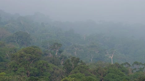 Forest-Canopy-of-Khao-Yai-National-Park-with-a-misty-sky-zoomed-out,-as-found-in-Thailand