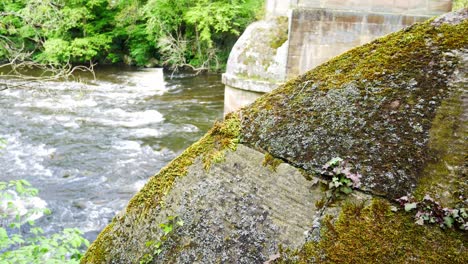 Fluss-Fließt-Um-Moosbedeckte-Grundsteine-In-üppiger-Malerischer-Felsiger-Bachwildnis-Dolly-Links