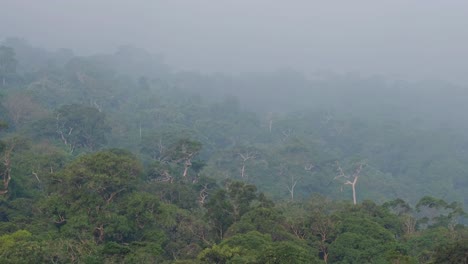 Forest-Canopy-of-Khao-Yai-National-Park-from-a-distance-with-sky-covered-with-mist,-in-Thailand