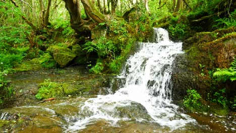 Schöne,-Frisch-Fließende,-Klare-Wasserfallkaskaden-In-üppiger,-Friedlicher,-Grüner-Waldlaubumgebung