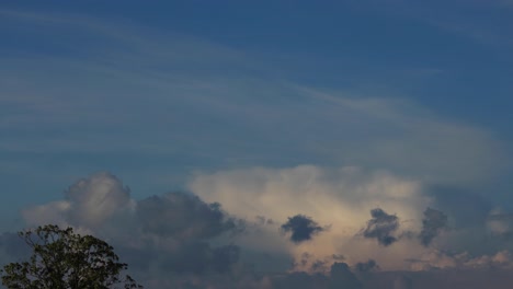 Anvil-shaped-mushroom-form-cumulonimbus-storm-and-rain-cloud-in-the-background-drifting-off-with-a-similar-shaped-tree-top-crown-in-the-foreground