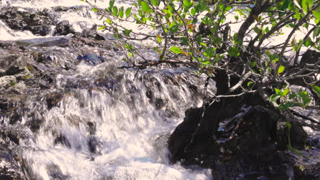 Closeup-Static-Shot-of-Water-Stream-in-Nature