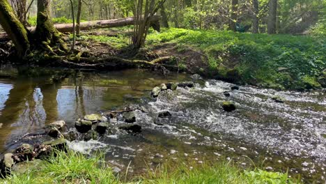 Creek-flows-continuously-through-stunning-park-on-sunny-summer-day