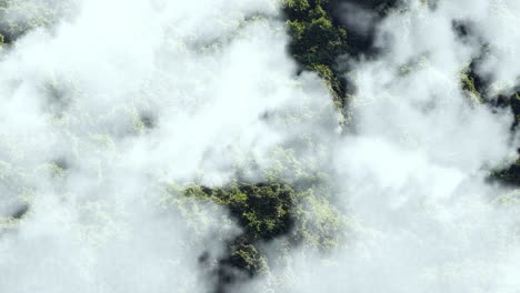 Waldantenne-Mit-Weißen-Wolken-Im-Vordergrund