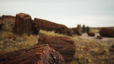 Umgestürztes-Holzscheit-Im-Petrified-Forest-National-Park-In-Arizona,-Rack-Focus-Moving-Shot