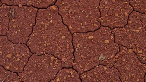 close-up-texture-of-red-soil-that-is-experiencing-dryness,-rotating-shot