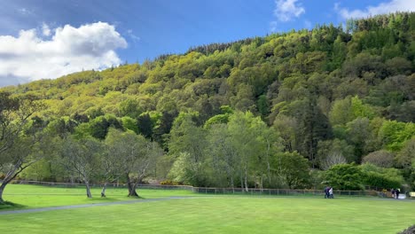 Panorama-of-a-woodland-hill-on-a-sunny-day-in-Glendalough,-Ireland