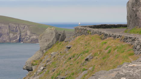 Seagull-on-stone-wall-overlooking-Dingle-Peninsula-coast-in-County-Kerry,-Ireland