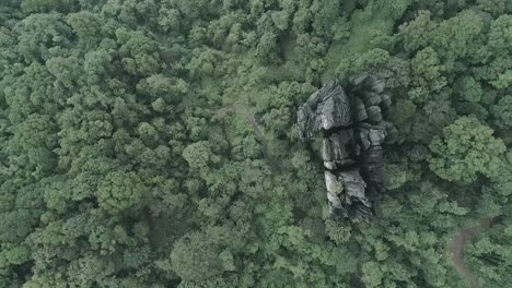 Luftaufnahme-Aus-Der-Vogelperspektive-Von-Einem-Wunderschönen-Tropischen-Wald-In-Der-Natur