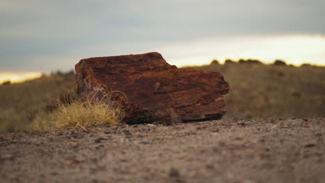 Arid-land-with-wood-log-at-Petrified-Forest-National-Park-in-Arizona,-rack-focus
