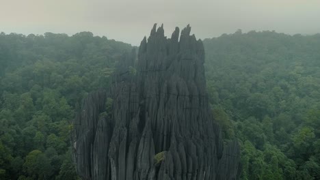 Riesiger-Steinmonolith-In-Den-Wäldern-Des-Dorfes-Yana-In-Karnataka,-Indien,-Unter-Nebel