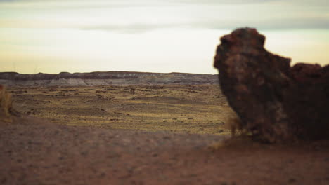 Giant-wood-log-at-Petrified-Forest-National-Park-in-Arizona,-rack-focus-static-shot