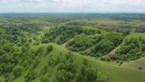 Panorama-De-Verdes-Colinas-Con-árboles-En-Deliblato-Sands-En-Vojvodina,-Serbia