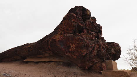 Giant-tree-log-at-Petrified-Forest-National-Park-in-Arizona,-panning-dolly-shot