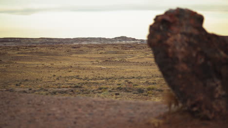 Giant-wood-log-with-landscape-view-at-Petrified-Forest-National-Park-in-Arizona,-panning-shot