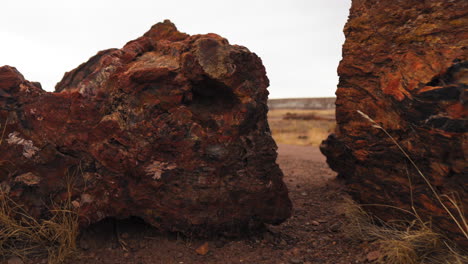 Giant-wood-log-at-Petrified-Forest-National-Park-in-Arizona,-tracking-shot