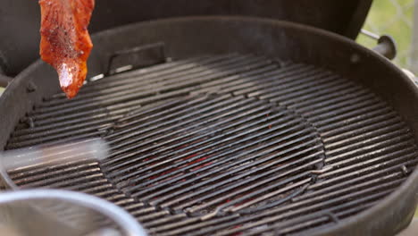 Putting-juicy-and-spiced-salmon-steaks-on-the-barbecue-to-grill---slow-motion