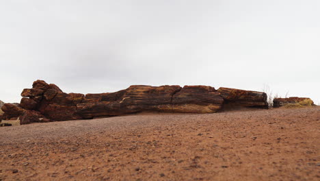 Giant-wood-log-with-sandy-land-at-Petrified-Forest-National-Park,-static-shot