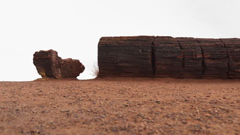 Giant-wood-log-at-Petrified-Forest-National-Park-in-Arizona,-panning-dolly-shot