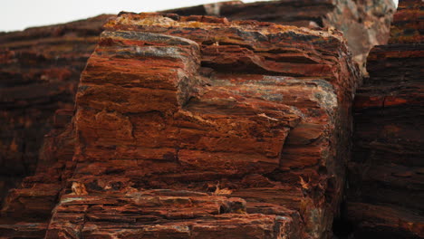 Rocky-wood-log-at-Petrified-Forest-National-Park-in-Arizona,-Close-up-panning-shot