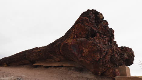 Giant-wood-log-at-Petrified-Forest-National-Park-in-Arizona,-static-shot