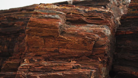 Giant-wood-log-at-Petrified-Forest-National-Park-in-Arizona,-Close-up-panning-shot