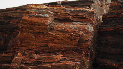 Giant-wood-log-at-Petrified-Forest-National-Park-in-Arizona,-Close-up-static-shot